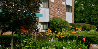 Whitmore Court Gallery 11