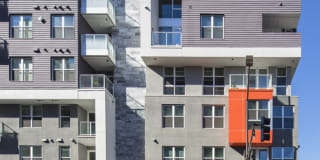 The Brand Gallery 11