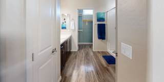 Olive Queen Creek Gallery 10