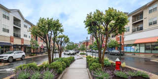 1102 RIBBON LIMESTONE Terrace SE Gallery 20