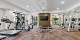 Lantower Grande Flats Gallery 20
