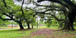 11780 Old Pascagoula Rd - Lot 3 Gallery 1