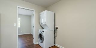 Axis on Roan Gallery 9