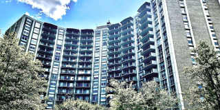9039 SLIGO CREEK Parkway Gallery 1