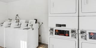 Newland Garden Gallery 16