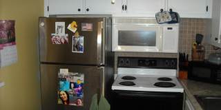 259 Sussex M Gallery 5