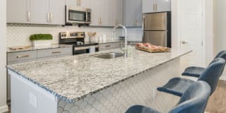 Cavalli at Iron Horse Station Gallery 3