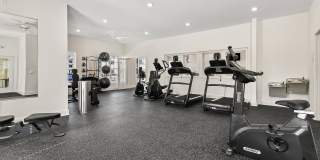 Alkire Meadows Gallery 27