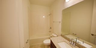 7389 ALPINE BUTTERFLY Lane Gallery 16