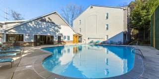 Buckhead and Vine Gallery 8