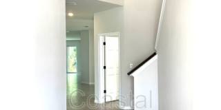 28591 Cozy Creek Dr Gallery 2