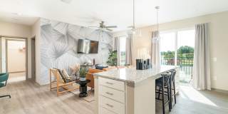 Vital at Springbrook Apartments Gallery 11