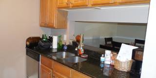 4053 Crockers Lake Blvd #2421 (Vintage Grand) Gallery 6