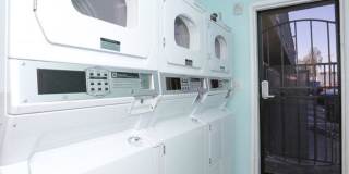 Revive Arts District Gallery 15