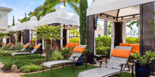 Oceanside Lantana Gallery 24