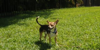 Summerlin at Winter Park Gallery 33