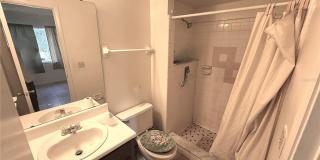 3102 SPLIT WILLOW DR Gallery 7