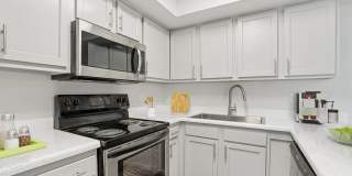 Morrison in Mesa Gallery 2