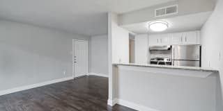 Hadley at Bellmar Gallery 6