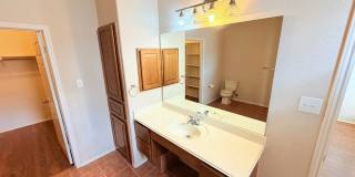 234 Gazelle Leap Gallery 8