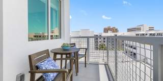 Tortoise One Gallery 9