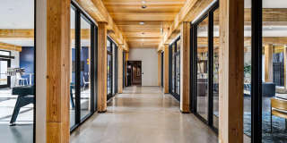 Owl Gallery 12