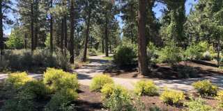 61661 Woodriver Dr Gallery 29