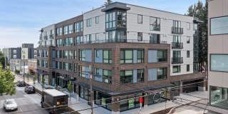 Maple Leaf Apartments Gallery 1