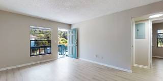Updated 2 Bedroom / 1 Bathroom Apartment Gallery 6