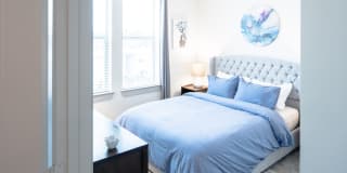 Magnolia at West Lemmon Gallery 18