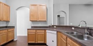 8871 CANOPY OAKS Drive Gallery 17