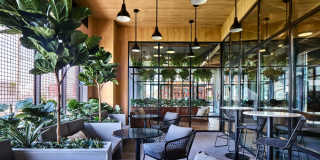 Birch House Gallery 13