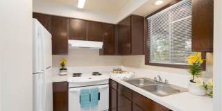 Willow Wood Village Gallery 2