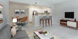 Willow Lake Gallery 4