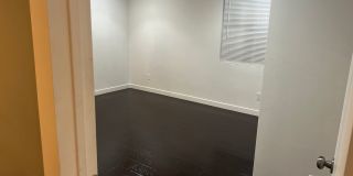 True Beauty! SOLAR Gallery 15