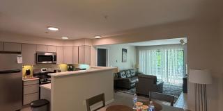 Short-mid term housing, furnished condo 2 bed/2 bath walking distance to Pearl St., CU and close to Hiking and Biking Gallery 7