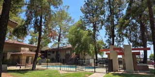 5035 N 10th Place Gallery 19