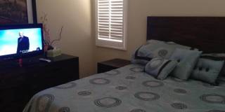 79760 Desert Willow Street Gallery 13