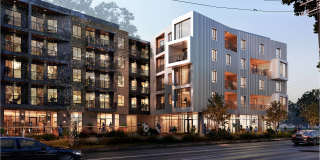 Pearl Springdale Gallery 1