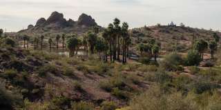 Modera Rio Salado Gallery 47