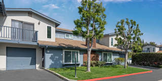 Fox Hollow Village Gallery 2