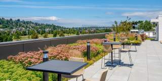 Ion Queen Anne Gallery 16
