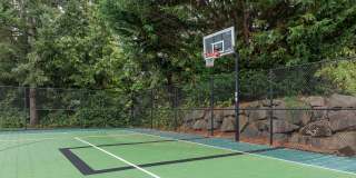 Summerlinn Gallery 6