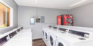 Buena La Vista Apartment Homes Gallery 15