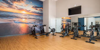 Shoregate Gallery 46