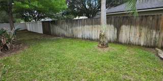 Pebblecreek in Oakleaf Gallery 19