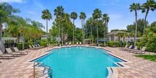 Citrus Tower Gallery 18