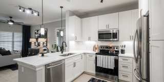 The JaXon Gallery 10