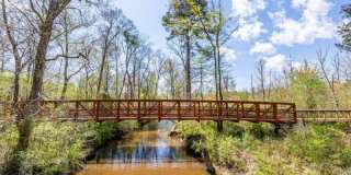 Highland Vista Gallery 31