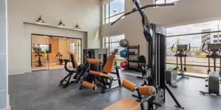 Citron at the Packing District Gallery 45